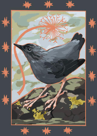 Dipper