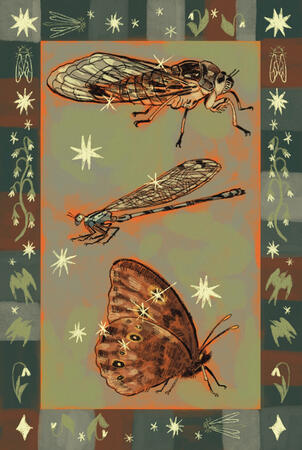 Bug Postcard