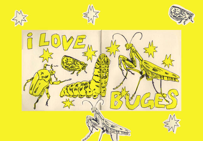 I Love Buges