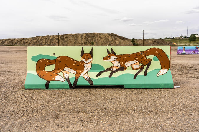 Foxes