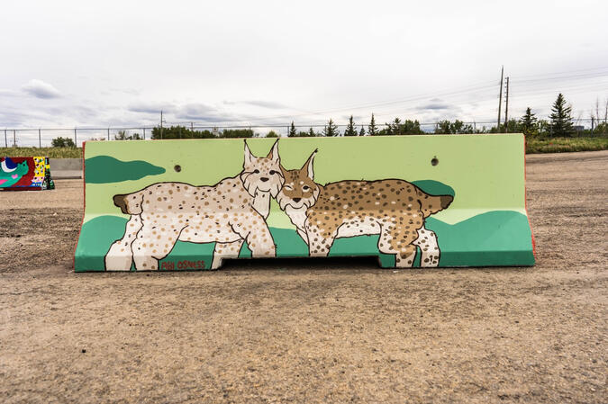 Lynx