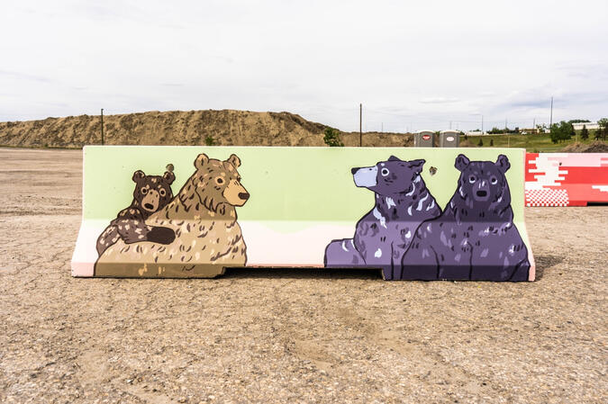 Bears