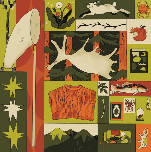 What Falls Out of My Pockets When You Pick Me Up and Shake Me Around