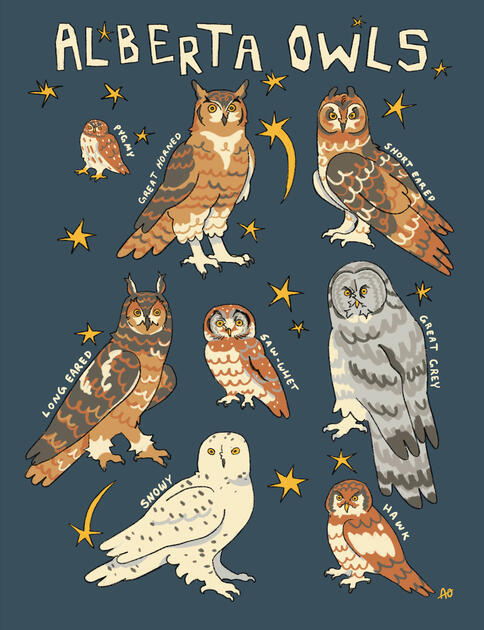Alberta Owls